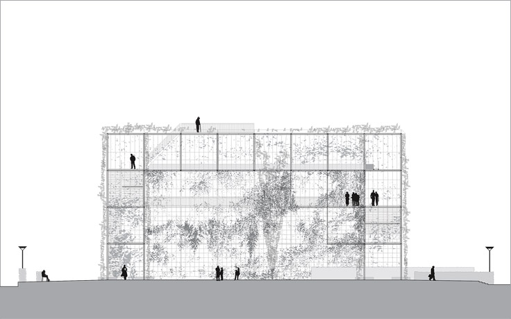 Vertical surfaces: MFO Park project prospectus
