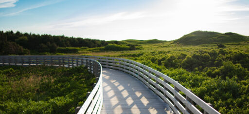 Cycle-pedestrian bridges and walkways. Photo by Daniel Baylis on Unsplash