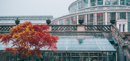 Foto copertina giardino d'inverno