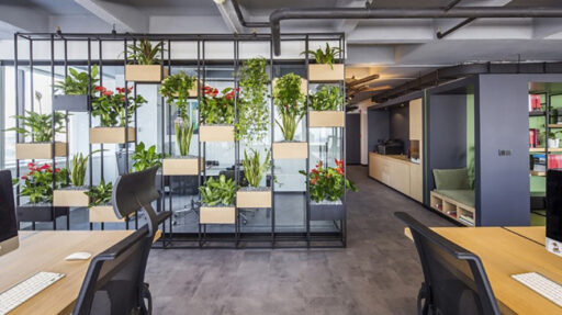 Biophilia in your home and photo office