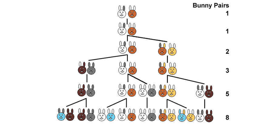 The Fibonacci sequence