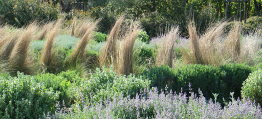 The Mediterranean Garden