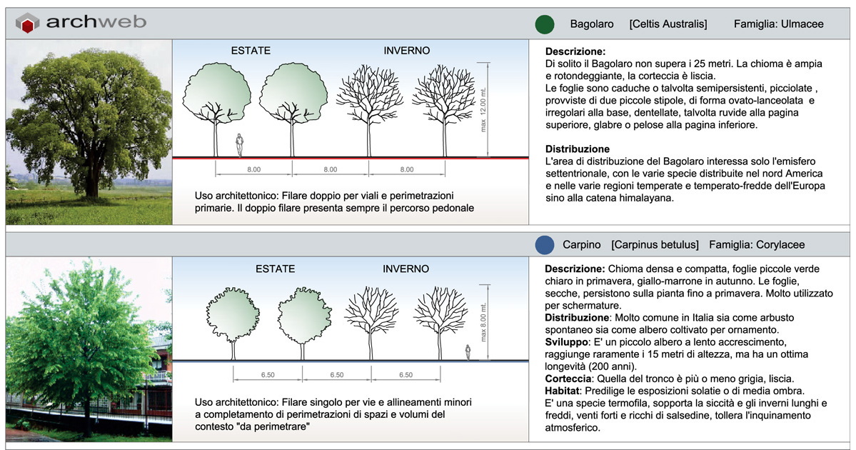 Le alberature della città