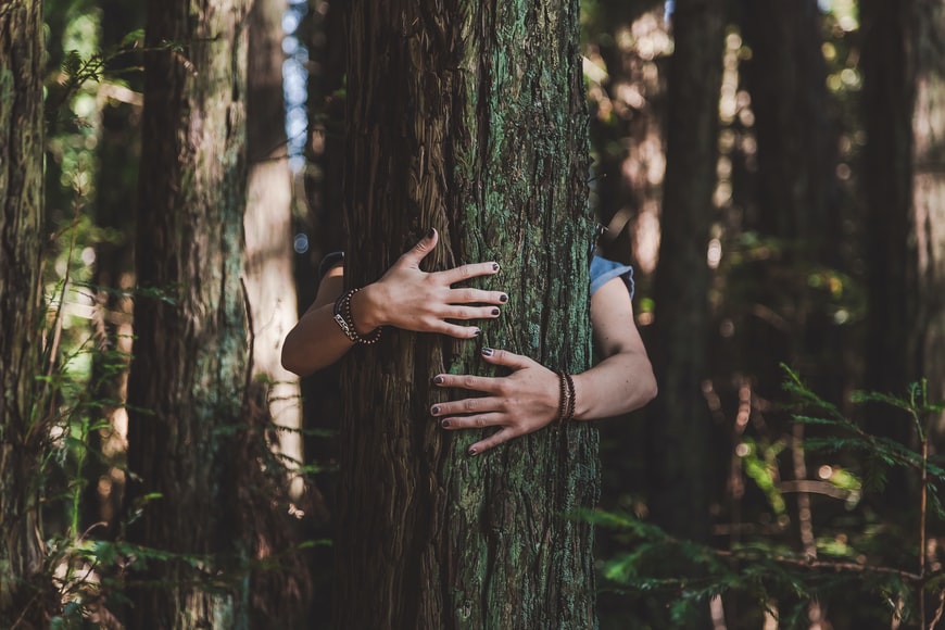 Foto con donna che abbraccia un albero, bellezza e salubrità.