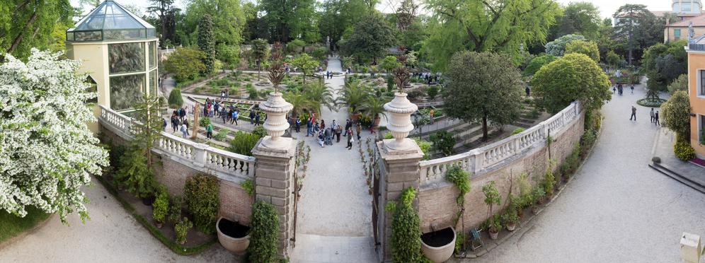 Photo of the ancient botanical garden of Padua
