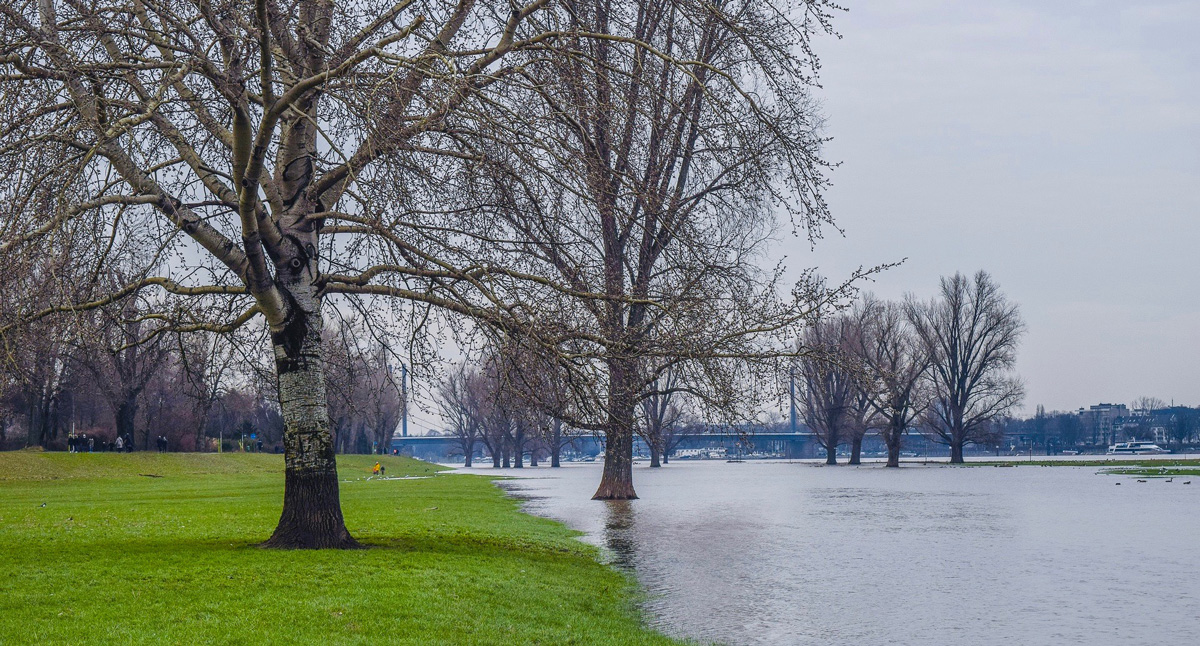 Foto giardini e paesaggi aperti Settembre 2020