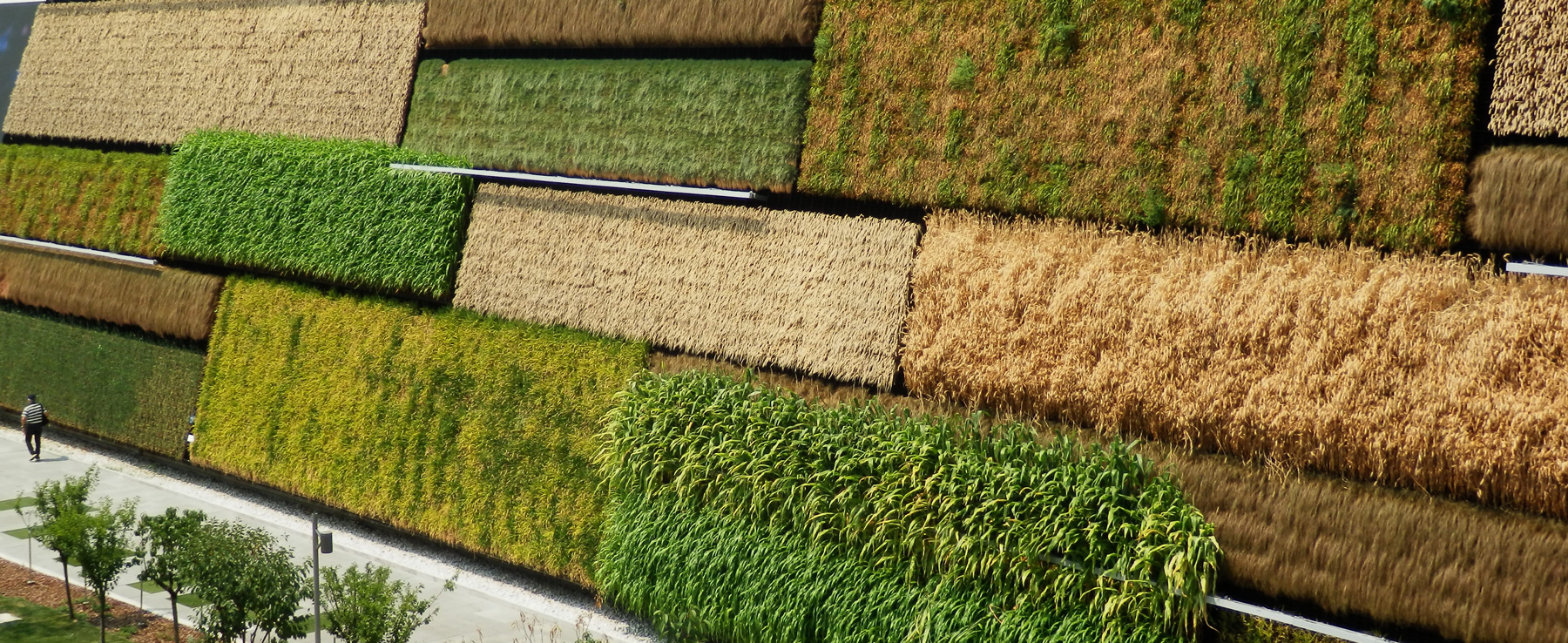 Image of a vertical garden