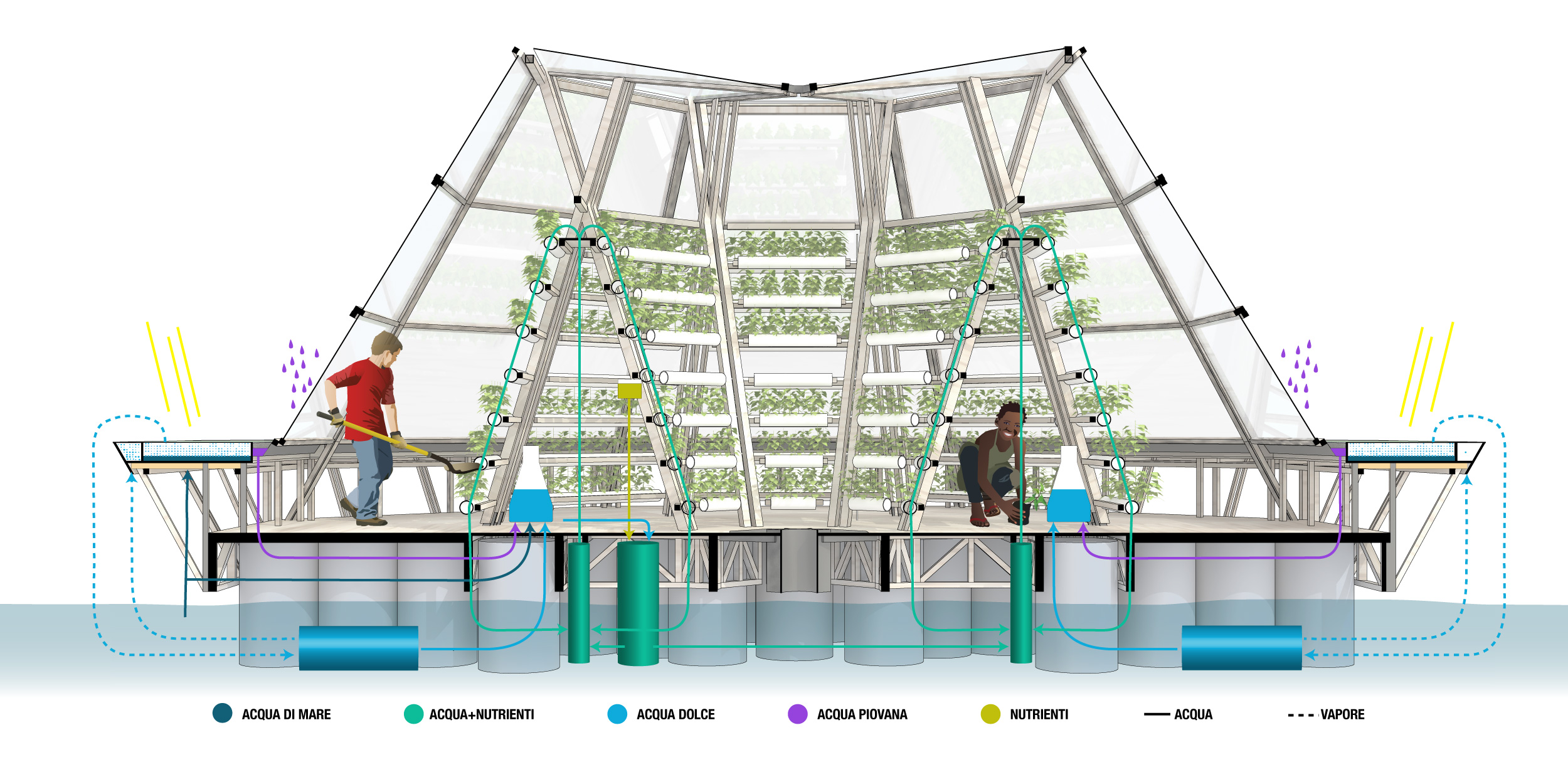 Jellyfish Barge: sezione dettaglio della serra agricola galleggiante