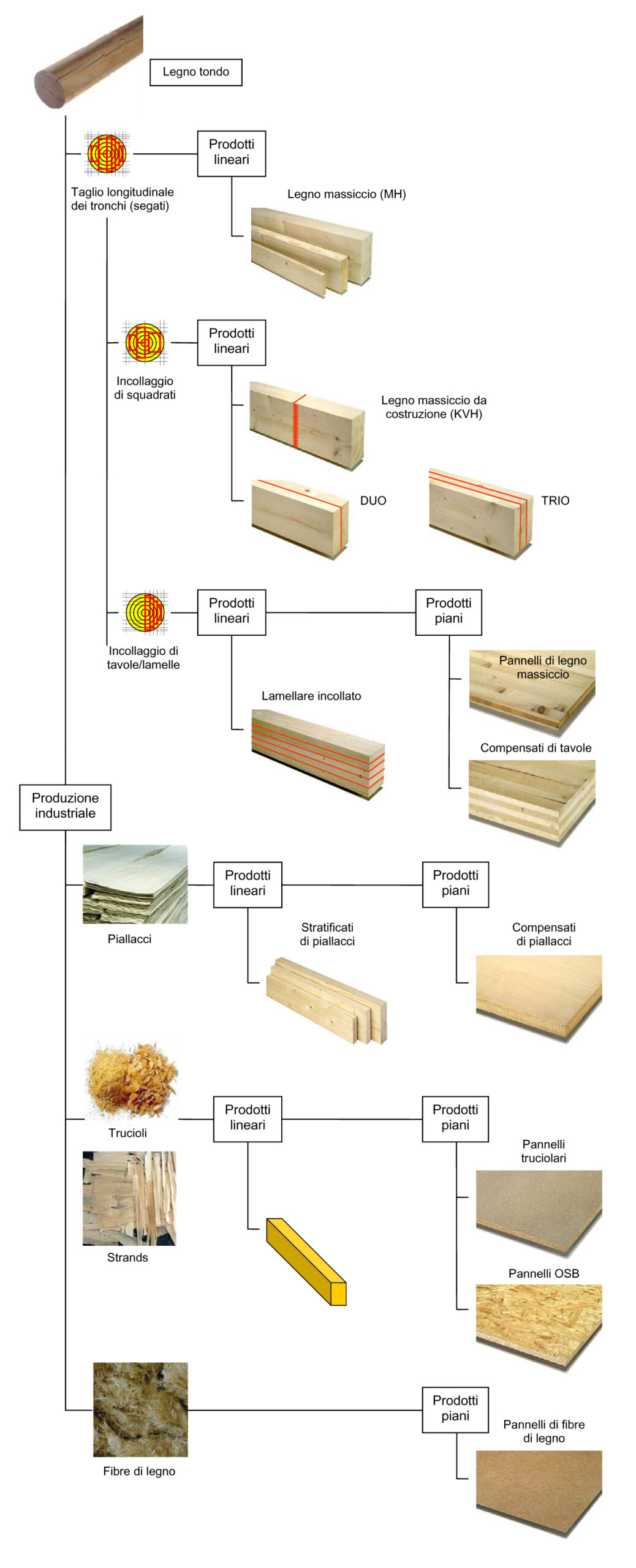 Veduta d’insieme sui prodotti di legno per le costruzioni