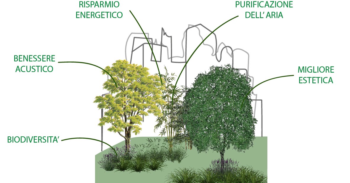 Schema funzionale del verde nel tessuto urbano