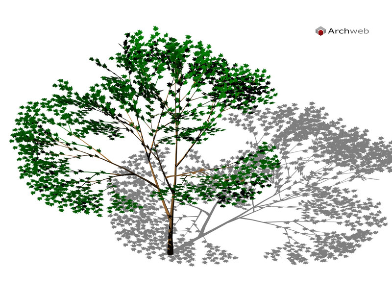 Albero 3D 01 dwg