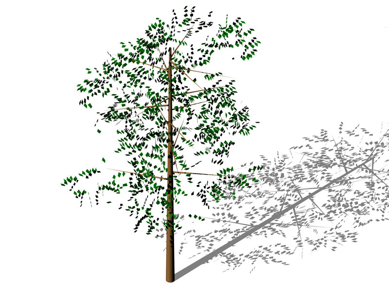 Albero 3D 05 dwg