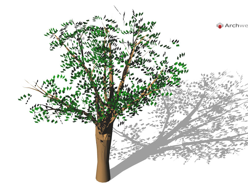 Albero 3D 07 dwg