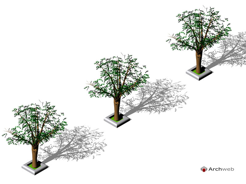 Albero 3D 09 dwg