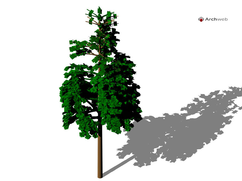 Albero 3D 10 dwg