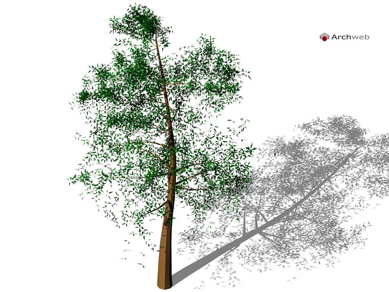 Albero 3D 11 dwg