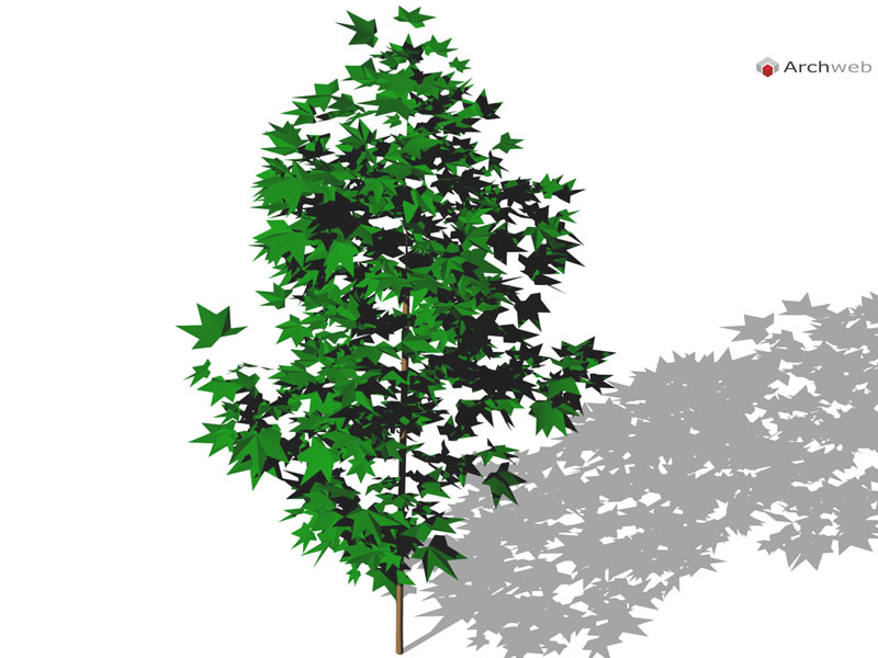 Albero 3D 13 dwg