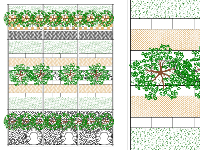 Percorso pedonale con alberi dwg