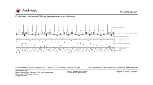 Prato carrabile dwg