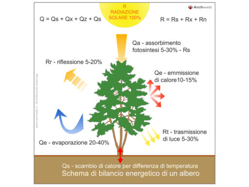 Bilancio energetico albero dwg