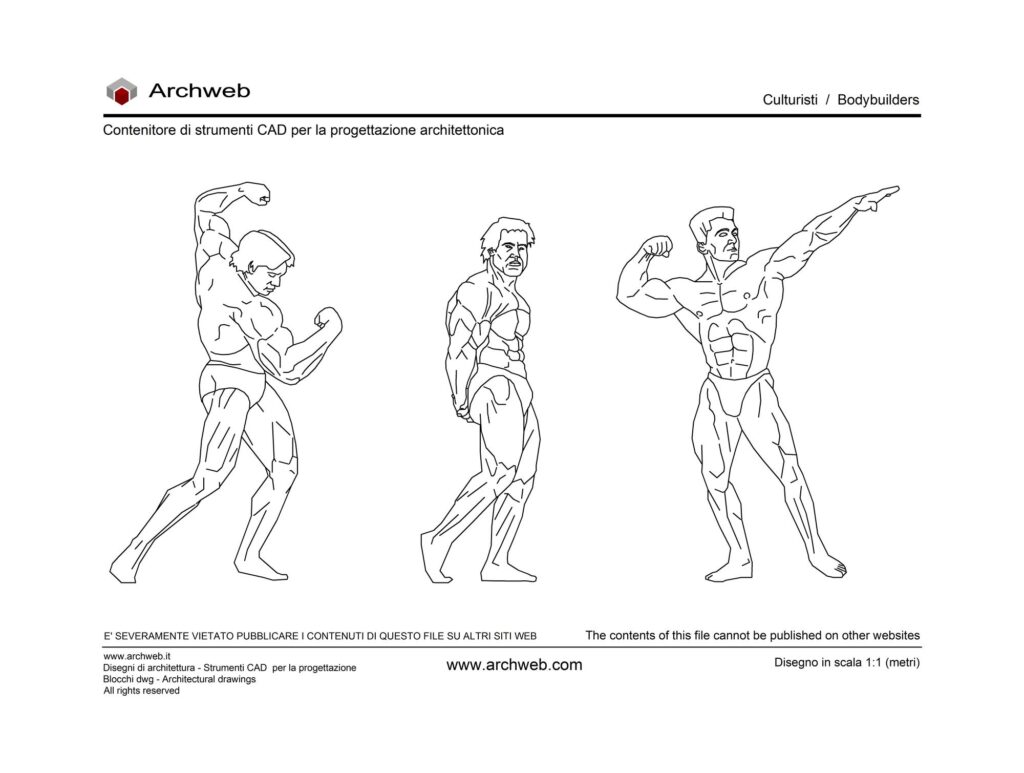 Culturisti dwg Archweb