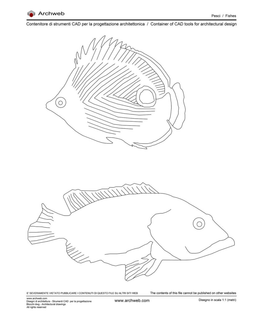 Pesce 05 dwg