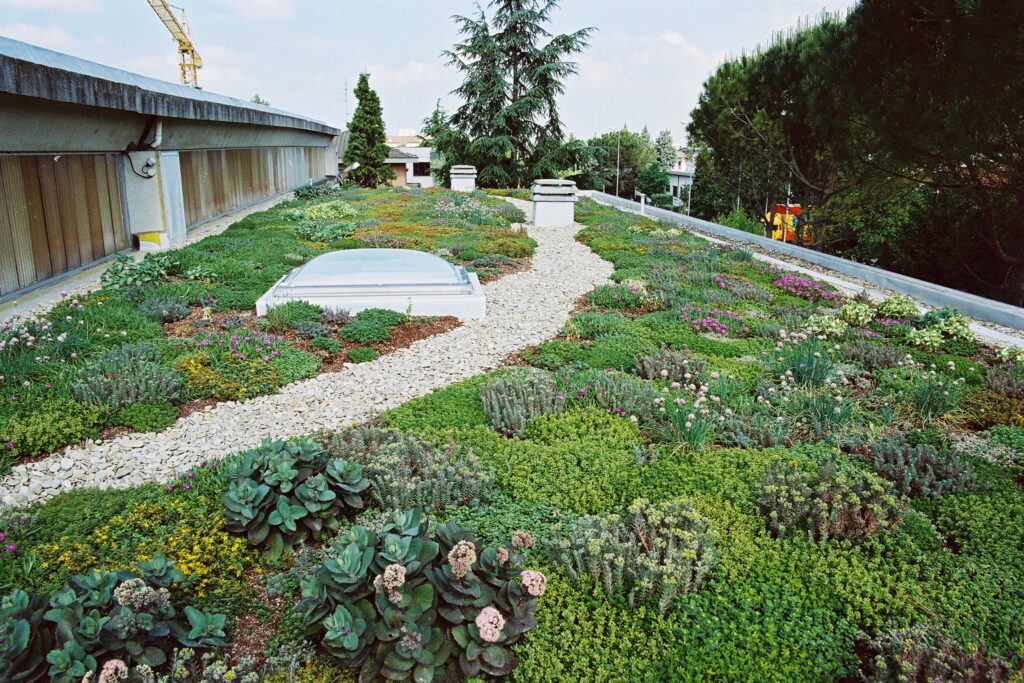 Il tetto giardino