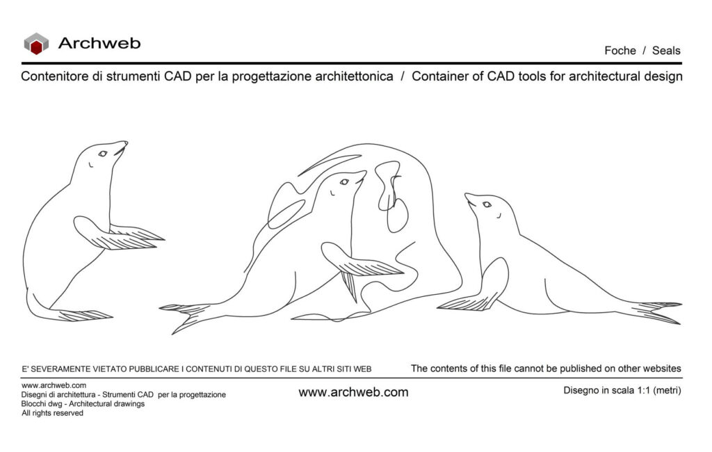 Foche immagine dwg Archweb