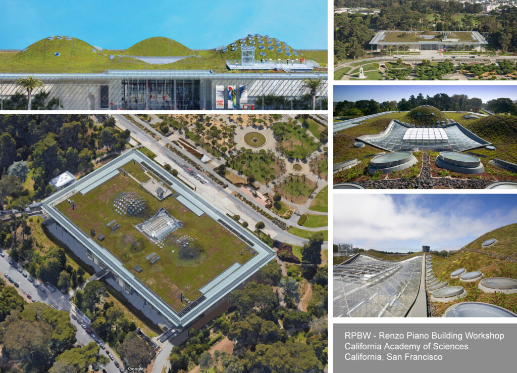 il tetto giardino: progetto dell' Accademia delle scienze di Renzo Piano  a San Francisco, california