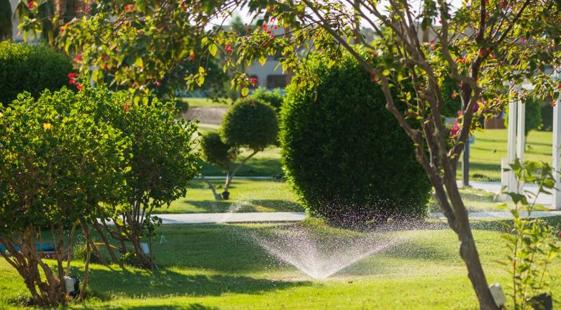 Urban park irrigation: design guidelines