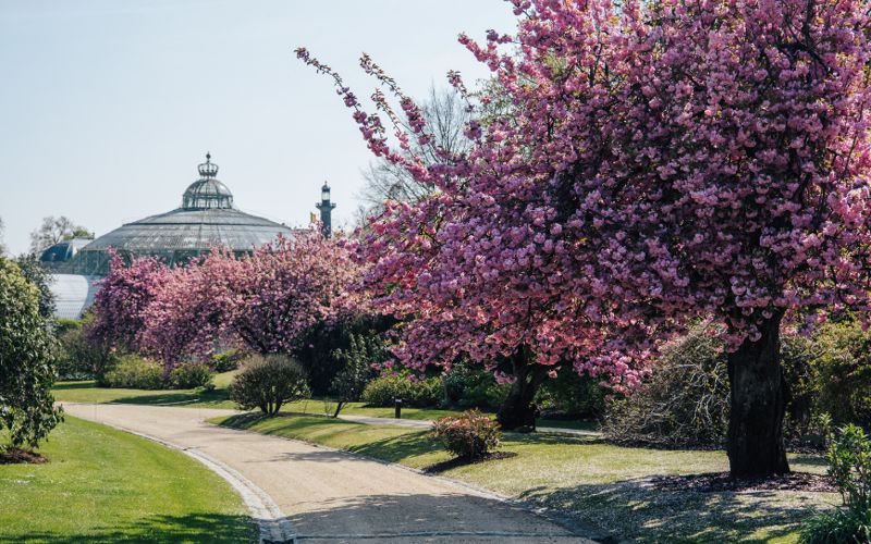 Paths in urban parks: design guide