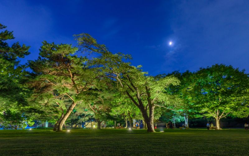 Lighting parks and urban public gardens: characteristics, functions and types of light points