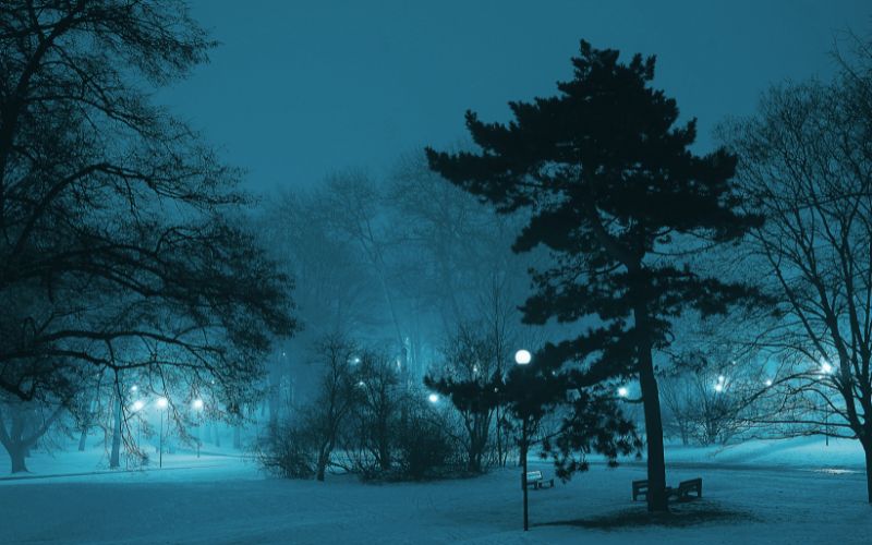 Parco con illuminazione notturna