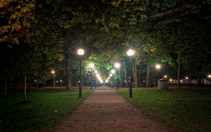 Viale illuminato