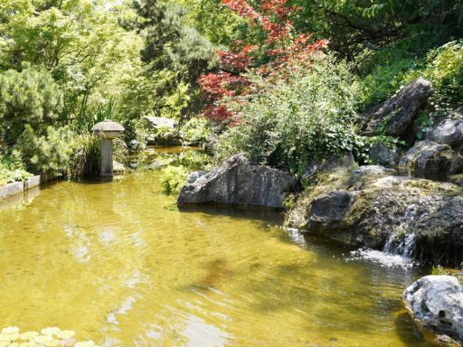 The Japanese Garden in Rome