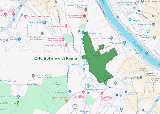 L'Orto Botanico di Roma