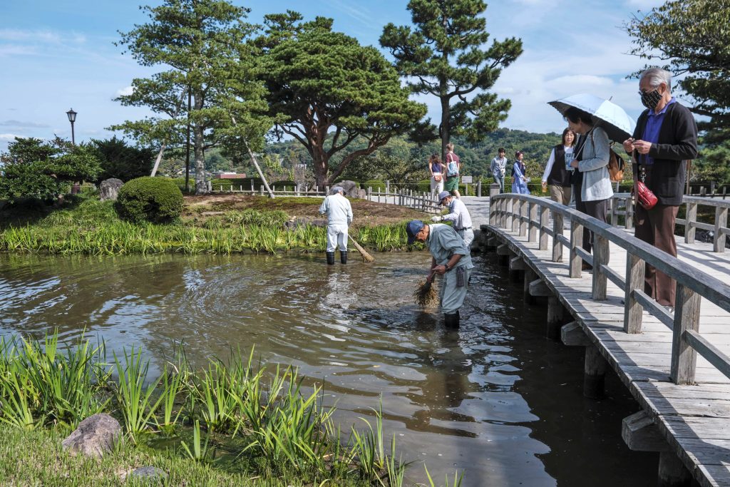 Elementi del giardino giapponese: acqua