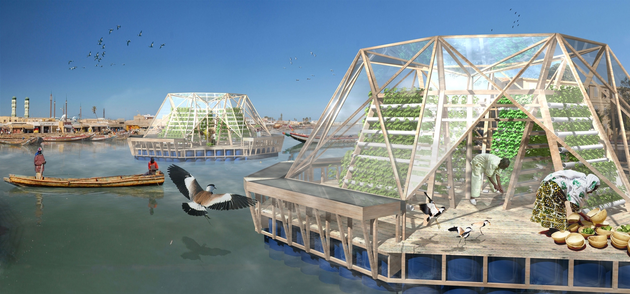 Cover photo of the article "Jellyfish Barge"