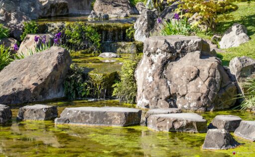 Le rocce del giardino giapponese