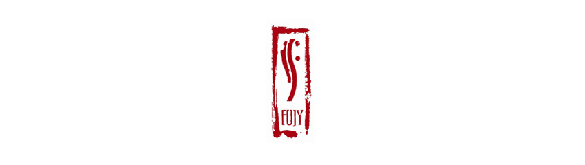 Cover photo of the article "FUJY – Naturally Architecture"