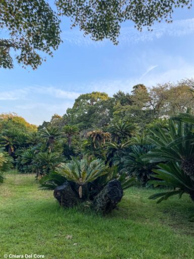 Giardino Koraku-en