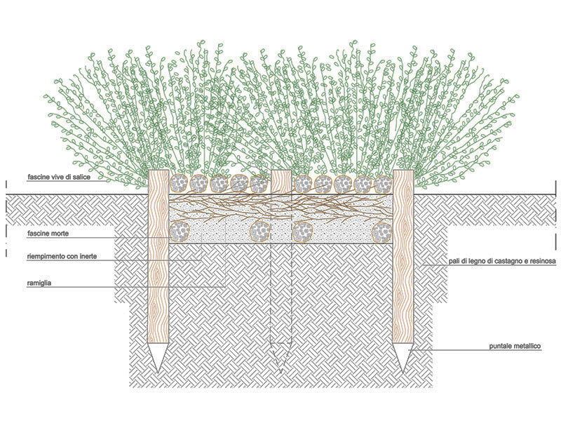 Repellente di ramaglia anteprima dwg Archweb