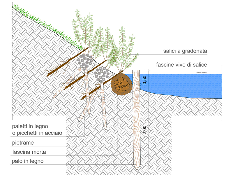Ribalta viva anteprima dwg Archweb