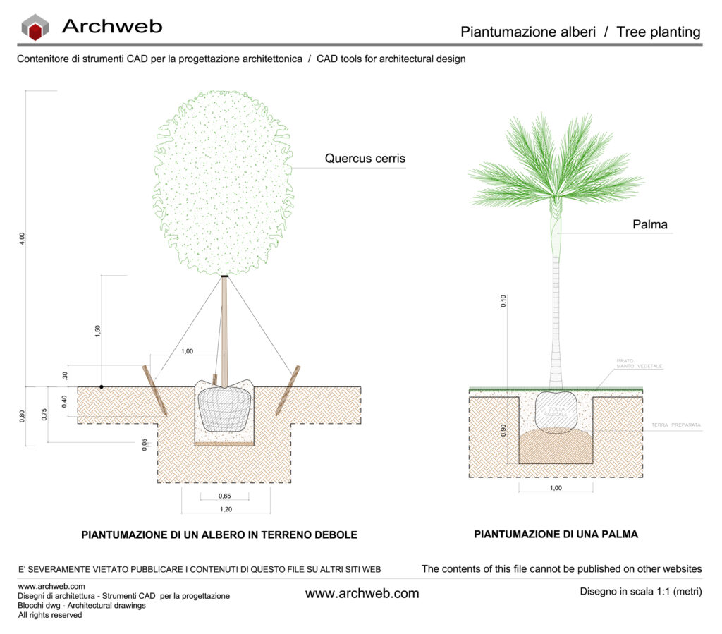 Piantumazione alberi 01 dwg Archweb