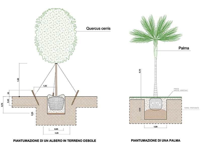 Piantumazione alberi 01 anteprima dwg Archweb