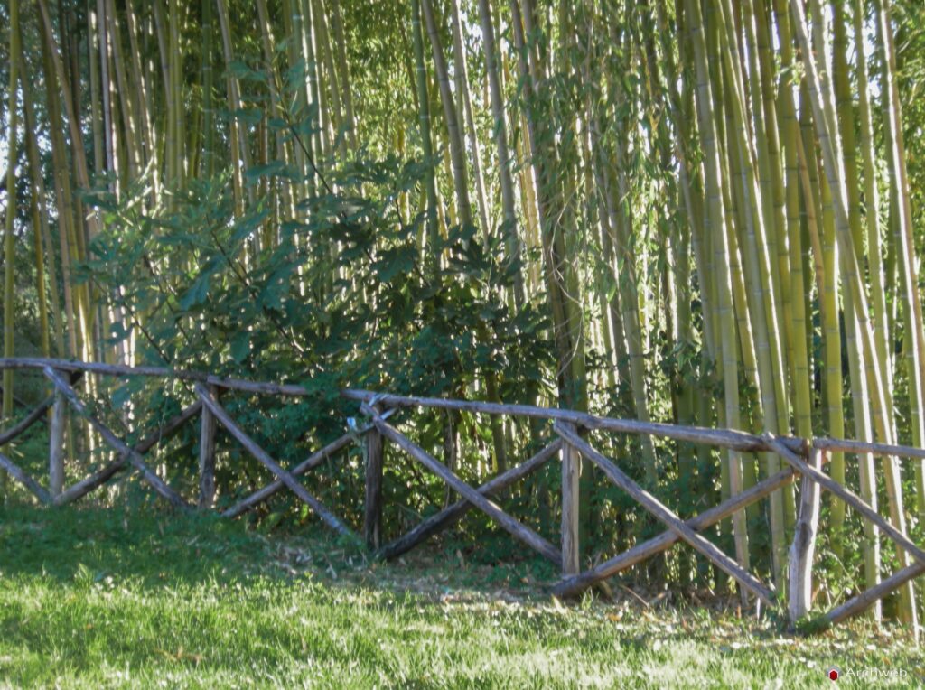 Staccionata in legno a Croce di Sant'Andrea