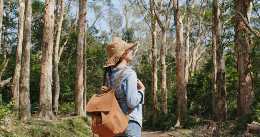 Forest bathing