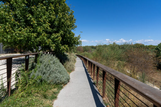 Parco Tevere Marconi fotografie paesaggio e attrezzature