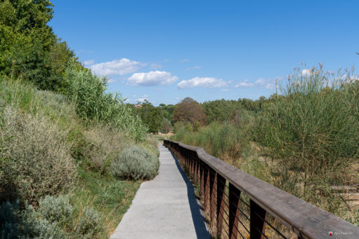 Parco Tevere Marconi fotografie paesaggio e attrezzature