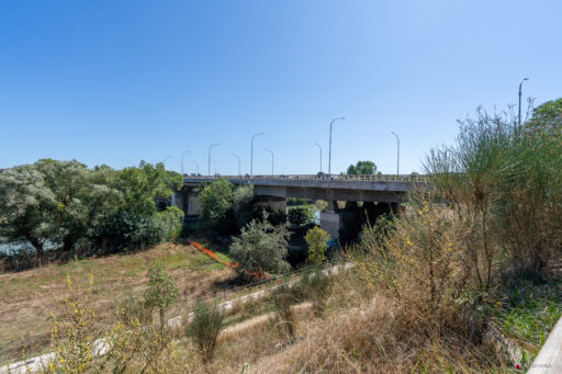 Parco Tevere Marconi fotografie paesaggio e attrezzature